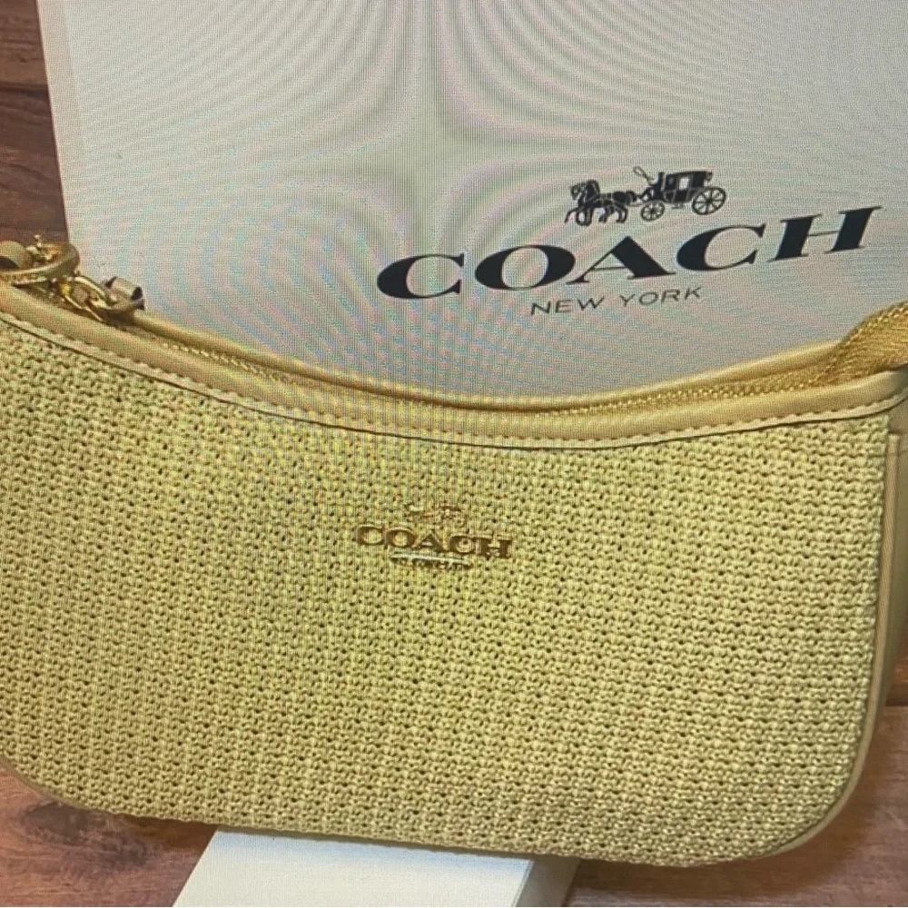 Coach Teri Straw Shoulder Bag, Small
